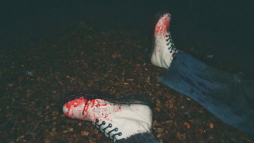 What's Wrong With You? Bild 1