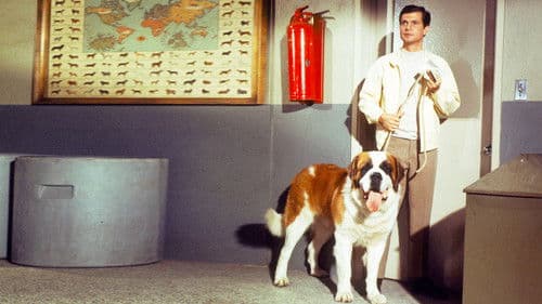 My Dog, the Thief Bild 5