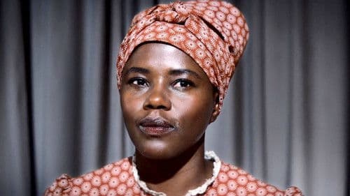 Der vermessene Mensch Bild 2