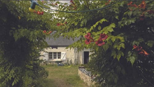 Splendeurs et Illusions Bild 6