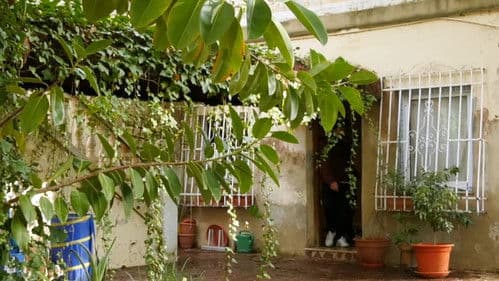 Aquí No Hay Nada Bild 1