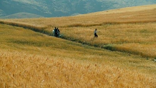 Der Wind wird uns tragen Bild 1