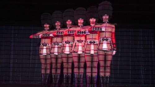Feu: Crazy Horse Paris Bild 6