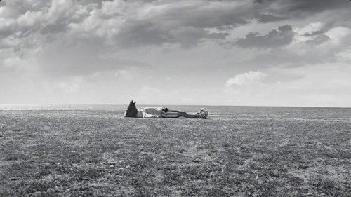 Caradecaballo Bild 2