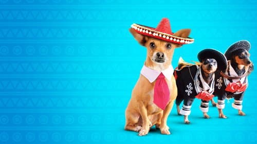 Beverly Hills Chihuahua 3 - Viva La Fiesta! Bild 2