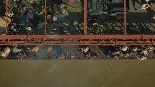 Đất Rừng Phương Nam Bild 6