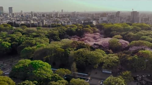 Family Romance, LLC Bild 7