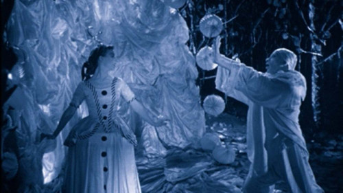 Rabbit's Moon Bild 3