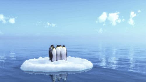 Everything's Cool Bild 3