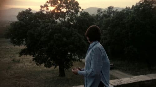 Die Sammlerin Bild 8