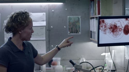 Blutgletscher Bild 3