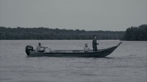 Umpan: The Betta Fish Bild 1