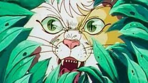 ダークキャット Bild 1