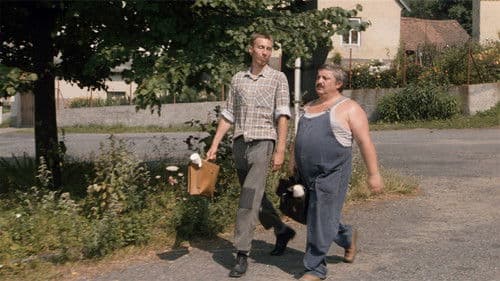 Heimat, süße Heimat Bild 7