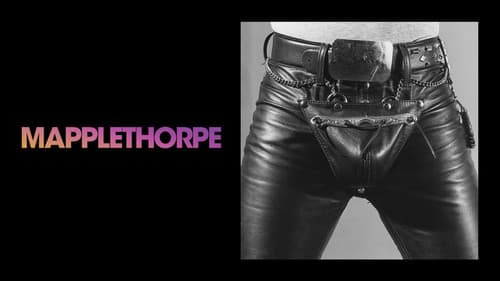 Mapplethorpe Bild 3