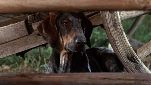 Im Tal der Apachen Bild 2