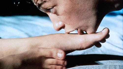 Er? Will! Sie nicht? Bild 5