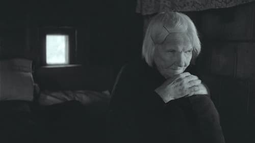 Neregių žemė Bild 1