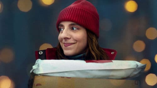 Lieferung vor Weihnachten Bild 4