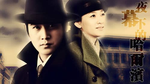 夜幕下的哈尔滨 Bild 1