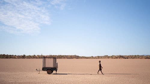 The Survival of Kindness Bild 1