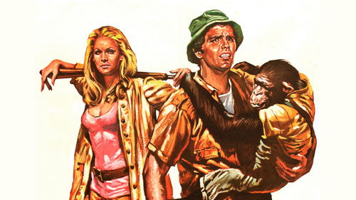 Africa Express Bild 6