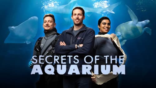 Secrets of the Aquarium Bild 2