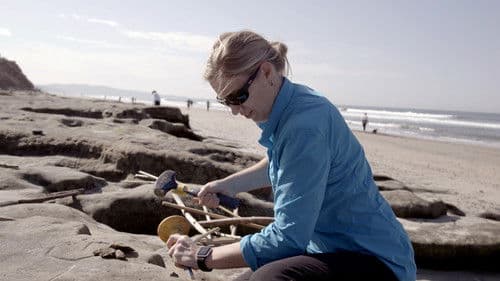 Picture a Scientist Bild 6