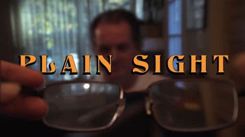 Plain Sight Bild 2