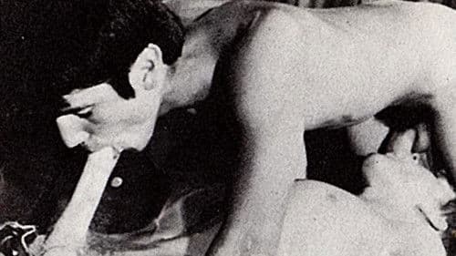 Jeff Noll's Buddies Bild 1