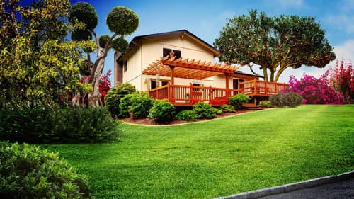 Die Garten-Designer Bild 1