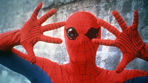 The Amazing Spider-Man Bild 1