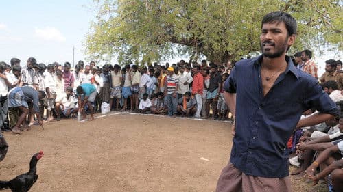 ஆடுகளம் Bild 4