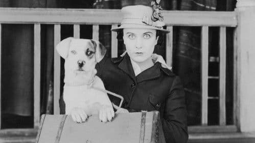 Ein Hundeleben Bild 7