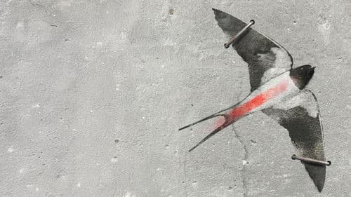 Pod szarym niebem Bild 2