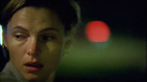 When We Lived in Miami Bild 2