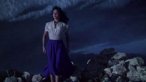 Die schwarze Füchsin Bild 2