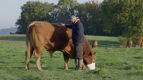 Rural Bild 5