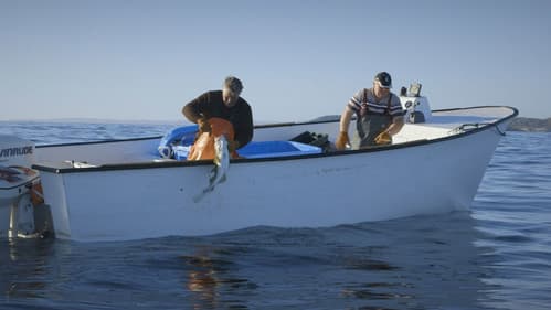 HAND. LINE. COD. Bild 1