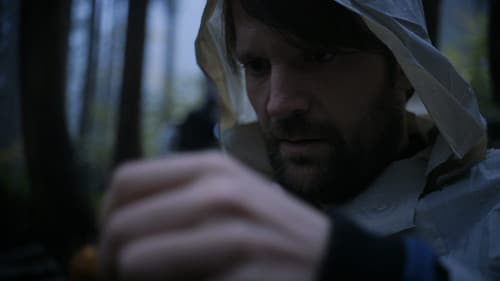 Ants on a Shrimp Bild 4