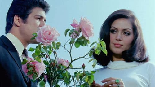 Birleşen Yollar Bild 3