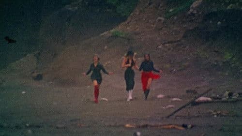 Fraulein Leather Bild 1