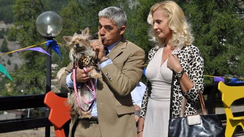 Natale a 4 zampe Bild 1