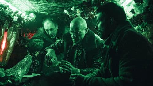 Petrov's Flu - Petrow hat Fieber Bild 6