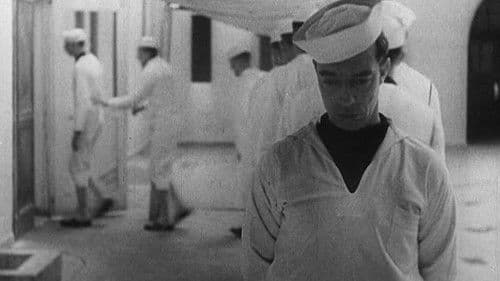 Tars and Stripes Bild 1