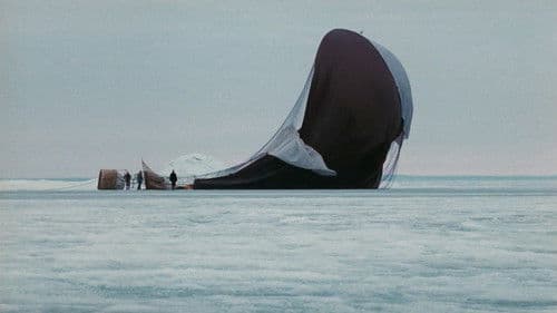 Der Flug des Adlers Bild 2