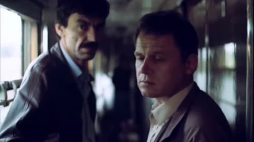 Дополнительный прибывает на второй путь Bild 2