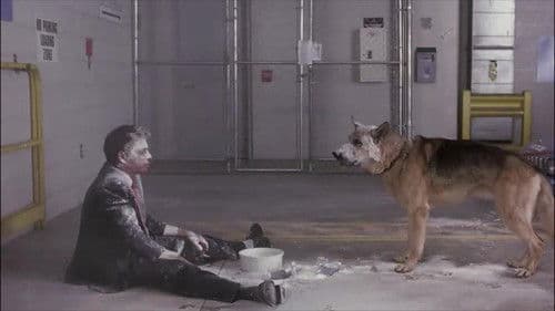 Mister Undercover Bild 2