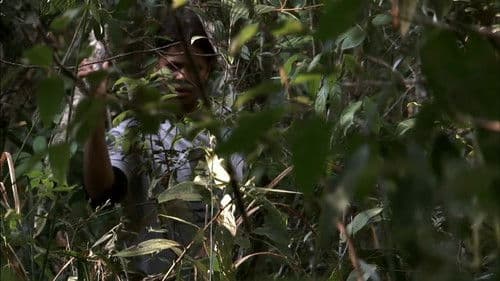 A Falta Que Me Faz Bild 5