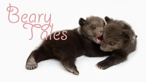 Beary Tales Bild 1